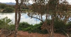 Fazenda Plana as Margens da GO 118 – Rio Paraná – 90 Alqueires – Município de Teresina de Goiás