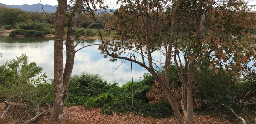 Fazenda Plana as Margens da GO 118 – Rio Paraná – 90 Alqueires – Município de Teresina de Goiás