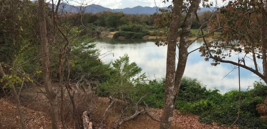Fazenda Plana as Margens da GO 118 – Rio Paraná – 90 Alqueires – Município de Teresina de Goiás