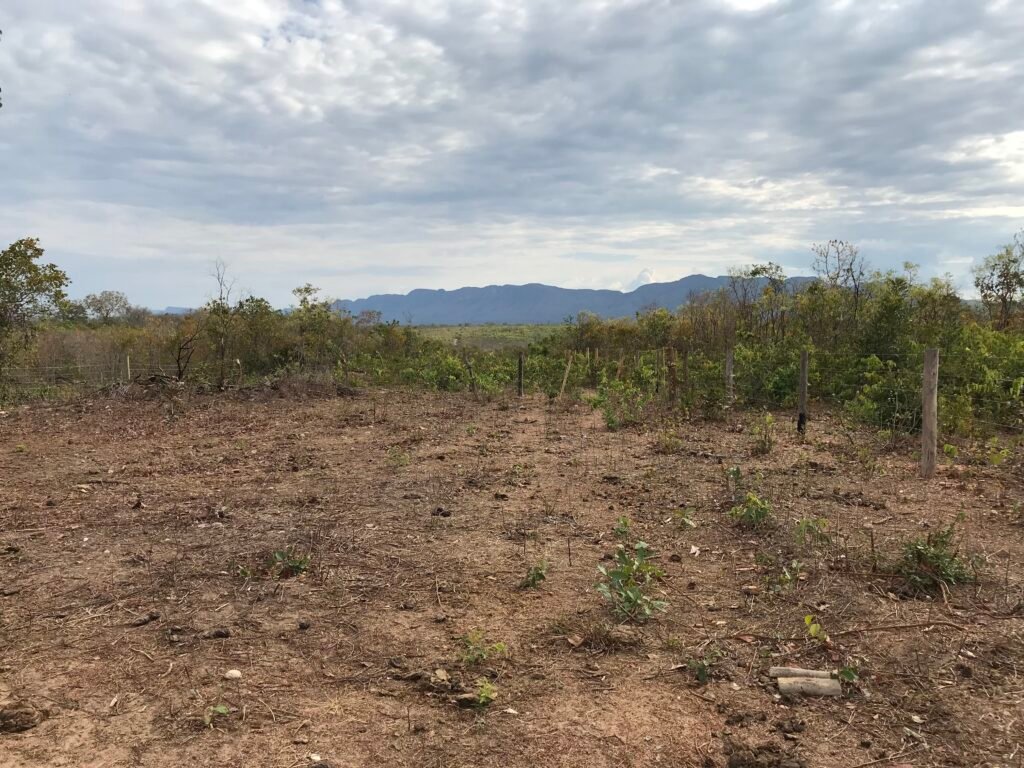 Fazenda Plana as Margens da GO 118 – Rio Paraná – 90 Alqueires – Município de Teresina de Goiás