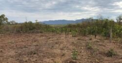 Fazenda Plana as Margens da GO 118 – Rio Paraná – 90 Alqueires – Município de Teresina de Goiás