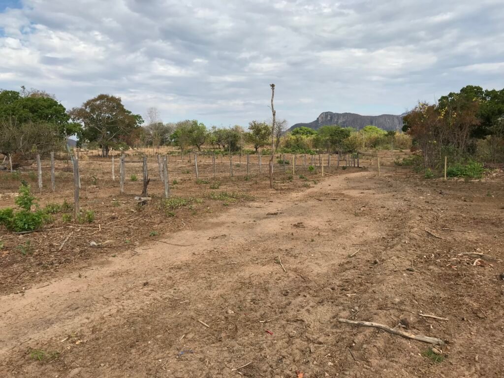 Fazenda Plana as Margens da GO 118 – Rio Paraná – 90 Alqueires – Município de Teresina de Goiás