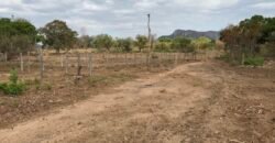 Fazenda Plana as Margens da GO 118 – Rio Paraná – 90 Alqueires – Município de Teresina de Goiás