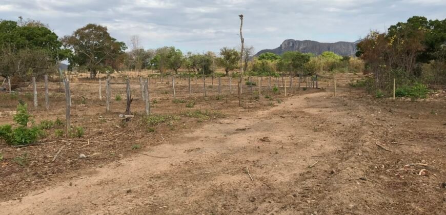 Fazenda Plana as Margens da GO 118 – Rio Paraná – 90 Alqueires – Município de Teresina de Goiás