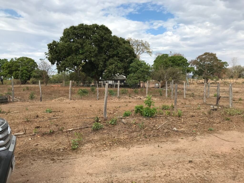 Fazenda Plana as Margens da GO 118 – Rio Paraná – 90 Alqueires – Município de Teresina de Goiás