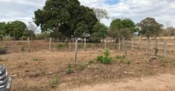 Fazenda Plana as Margens da GO 118 – Rio Paraná – 90 Alqueires – Município de Teresina de Goiás