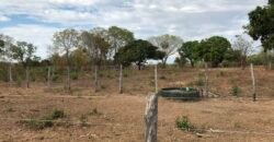 Fazenda Plana as Margens da GO 118 – Rio Paraná – 90 Alqueires – Município de Teresina de Goiás