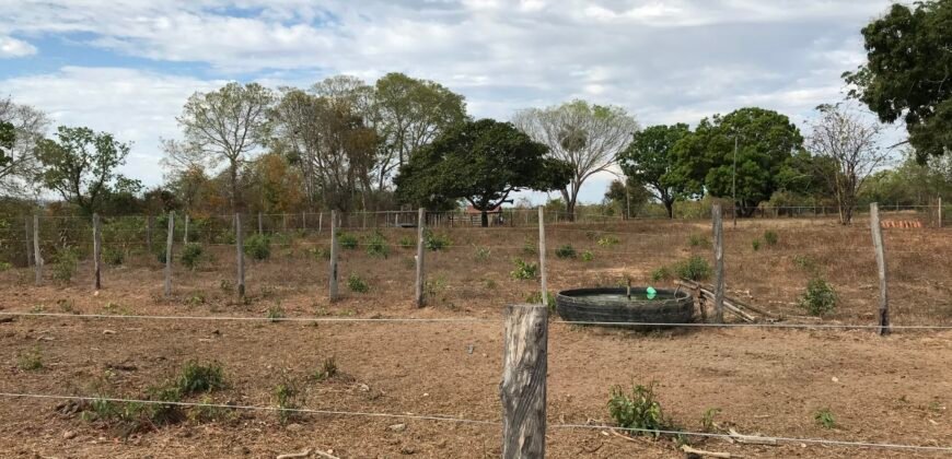 Fazenda Plana as Margens da GO 118 – Rio Paraná – 90 Alqueires – Município de Teresina de Goiás