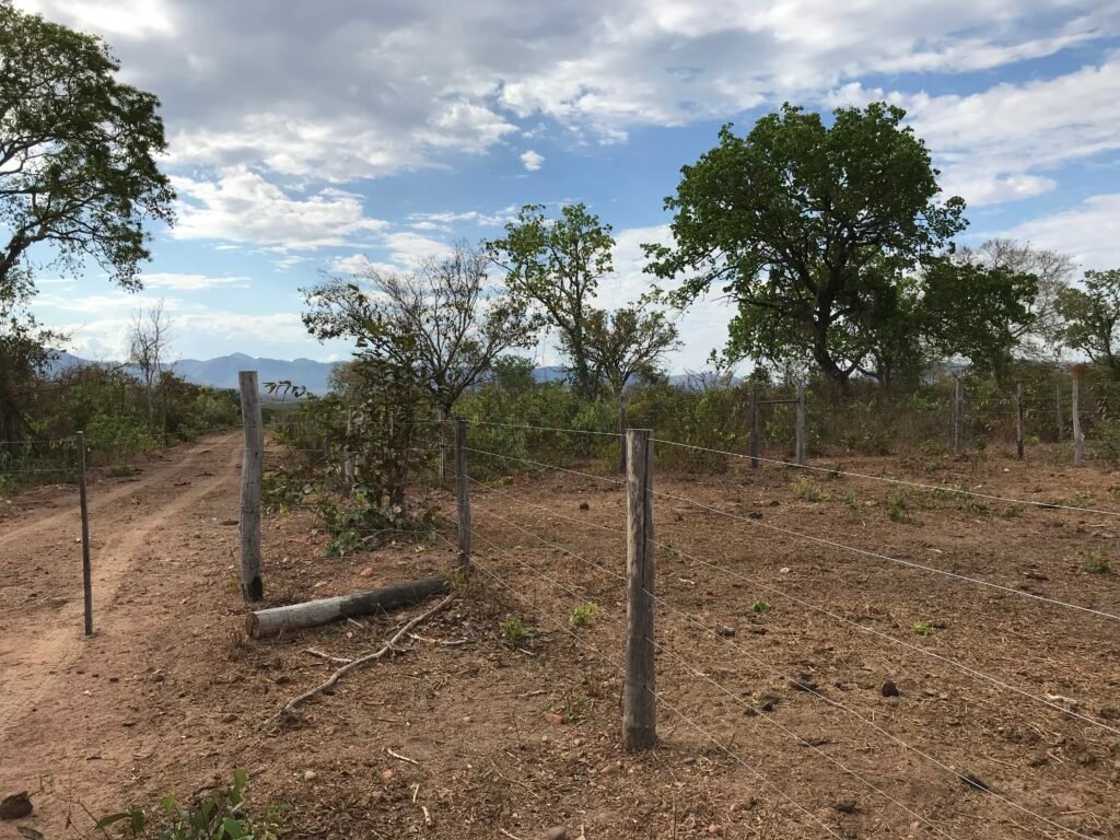 Fazenda Plana as Margens da GO 118 – Rio Paraná – 90 Alqueires – Município de Teresina de Goiás