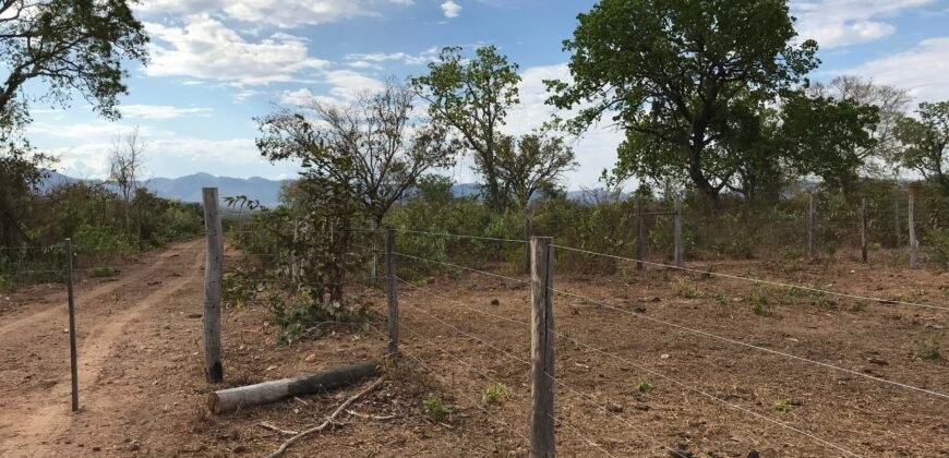 Fazenda Plana as Margens da GO 118 – Rio Paraná – 90 Alqueires – Município de Teresina de Goiás