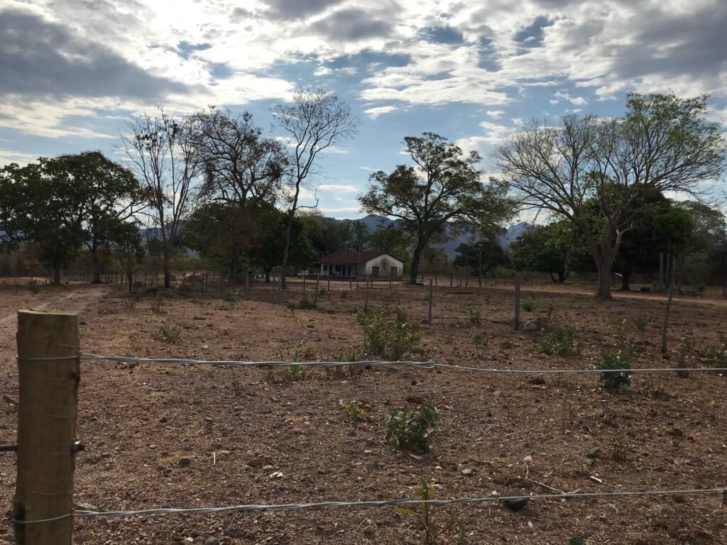 Fazenda Plana as Margens da GO 118 – Rio Paraná – 90 Alqueires – Município de Teresina de Goiás