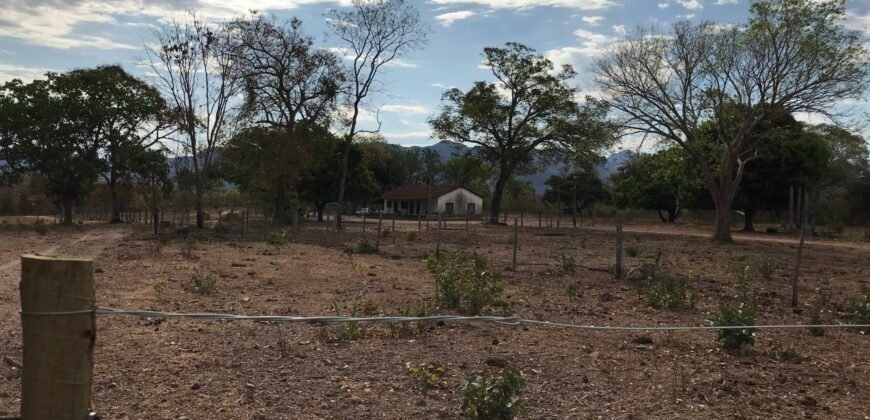 Fazenda Plana as Margens da GO 118 – Rio Paraná – 90 Alqueires – Município de Teresina de Goiás