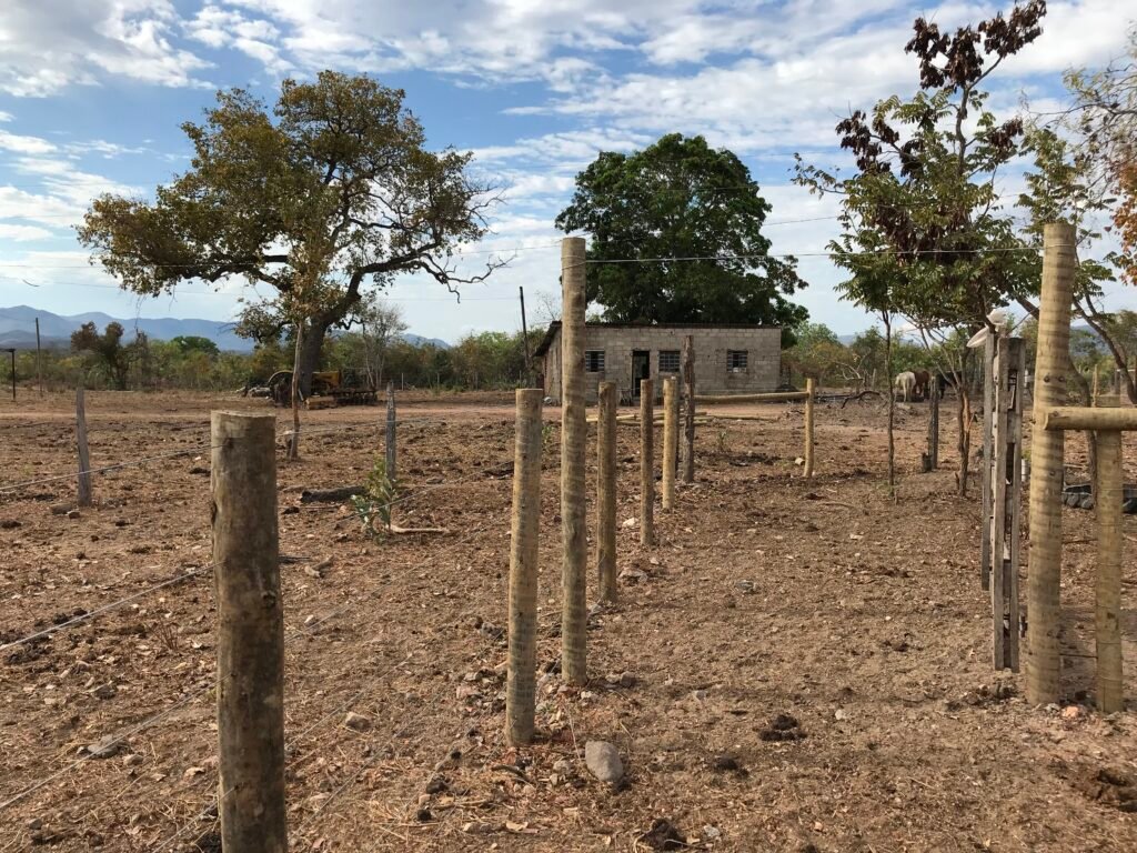 Fazenda Plana as Margens da GO 118 – Rio Paraná – 90 Alqueires – Município de Teresina de Goiás