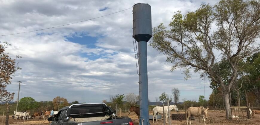 Fazenda Plana as Margens da GO 118 – Rio Paraná – 90 Alqueires – Município de Teresina de Goiás