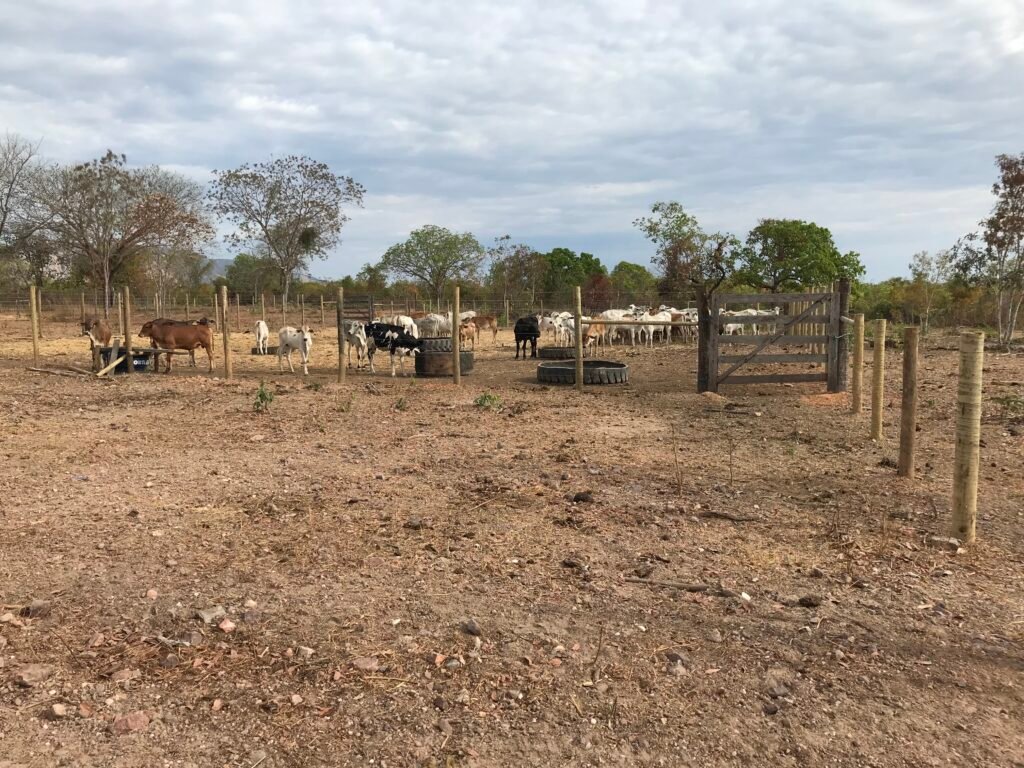 Fazenda Plana as Margens da GO 118 – Rio Paraná – 90 Alqueires – Município de Teresina de Goiás