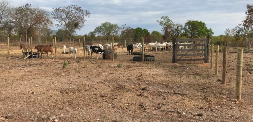 Fazenda Plana as Margens da GO 118 – Rio Paraná – 90 Alqueires – Município de Teresina de Goiás