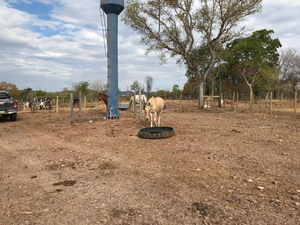 Fazenda Plana as Margens da GO 118 – Rio Paraná – 90 Alqueires – Município de Teresina de Goiás