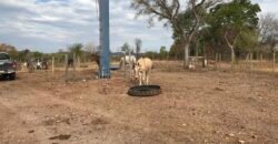 Fazenda Plana as Margens da GO 118 – Rio Paraná – 90 Alqueires – Município de Teresina de Goiás