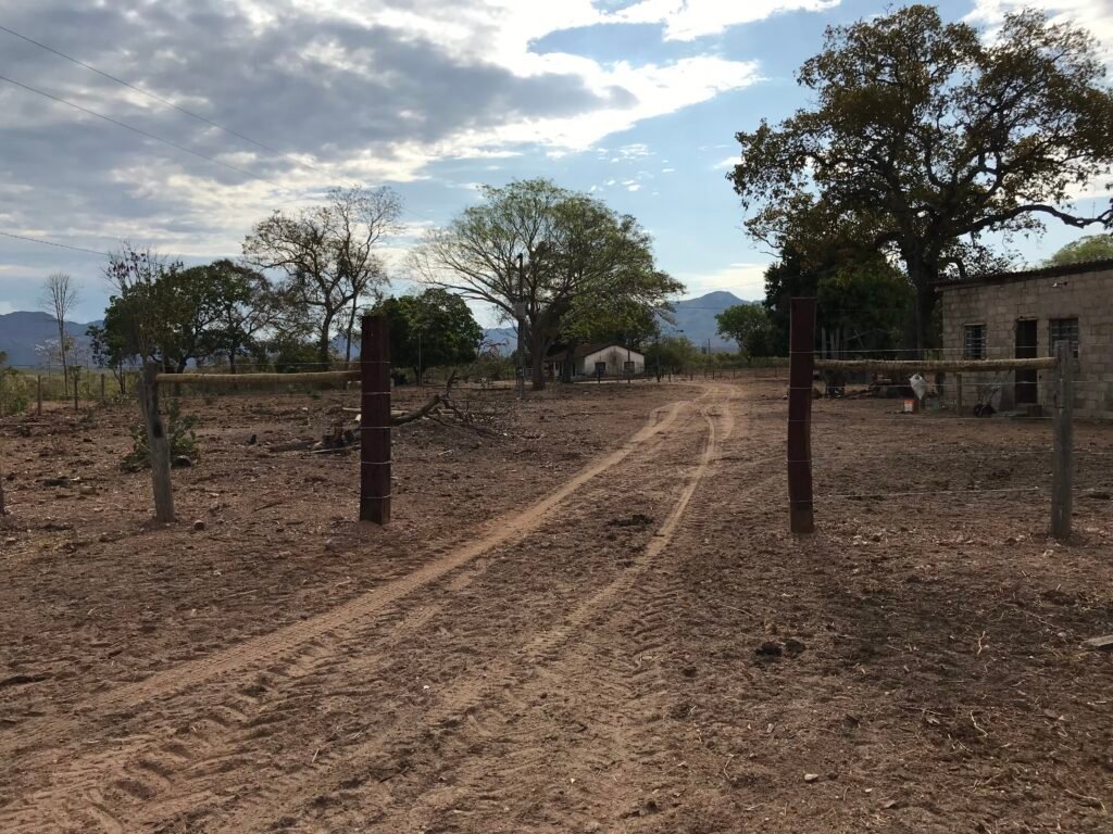 Fazenda Plana as Margens da GO 118 – Rio Paraná – 90 Alqueires – Município de Teresina de Goiás