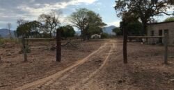 Fazenda Plana as Margens da GO 118 – Rio Paraná – 90 Alqueires – Município de Teresina de Goiás