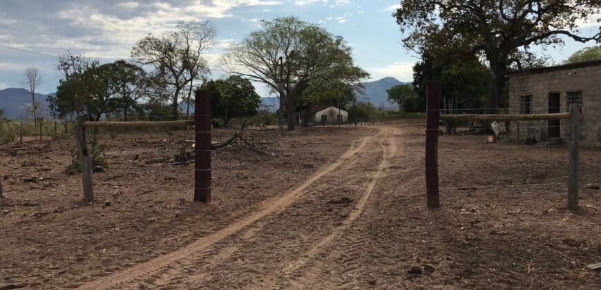 Fazenda Plana as Margens da GO 118 – Rio Paraná – 90 Alqueires – Município de Teresina de Goiás