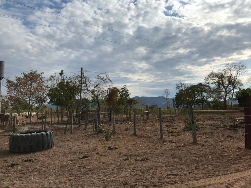 Fazenda Plana as Margens da GO 118 – Rio Paraná – 90 Alqueires – Município de Teresina de Goiás