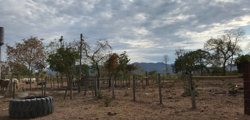 Fazenda Plana as Margens da GO 118 – Rio Paraná – 90 Alqueires – Município de Teresina de Goiás