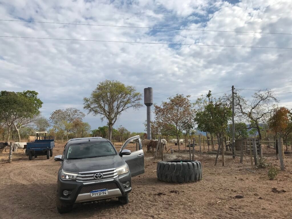 Fazenda Plana as Margens da GO 118 – Rio Paraná – 90 Alqueires – Município de Teresina de Goiás