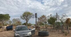 Fazenda Plana as Margens da GO 118 – Rio Paraná – 90 Alqueires – Município de Teresina de Goiás