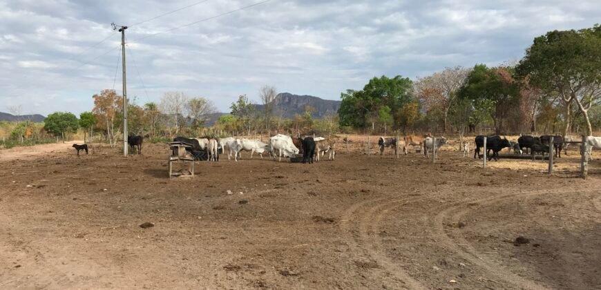 Fazenda Plana as Margens da GO 118 – Rio Paraná – 90 Alqueires – Município de Teresina de Goiás