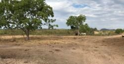 Fazenda Plana as Margens da GO 118 – Rio Paraná – 90 Alqueires – Município de Teresina de Goiás