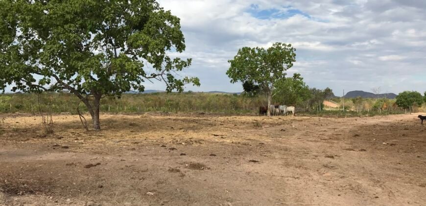 Fazenda Plana as Margens da GO 118 – Rio Paraná – 90 Alqueires – Município de Teresina de Goiás
