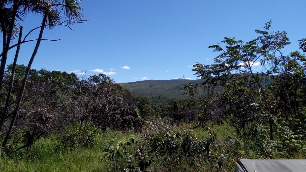 Fazenda 76 ha – Cachoeira – 12km Teresina de Goiás – Chapada dos Veadeiros
