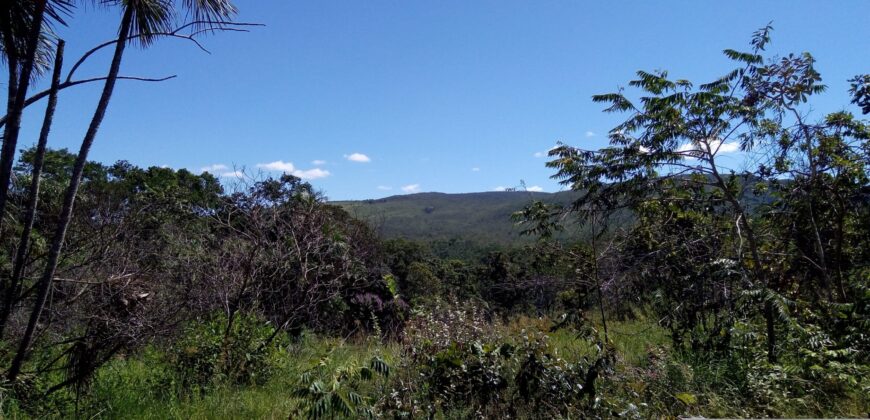 Fazenda 76 ha – Cachoeira – 12km Teresina de Goiás – Chapada dos Veadeiros