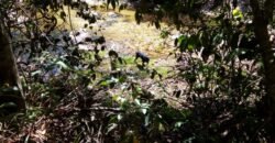 Casa nova em Adobe na Reserva Bacupari – Rio – Cavalcante/GO – Chapada dos Veadeiros Casa nova em Adobe na Reserva Bacupari – Rio – Cavalcante/GO – Chapada dos Veadeiros