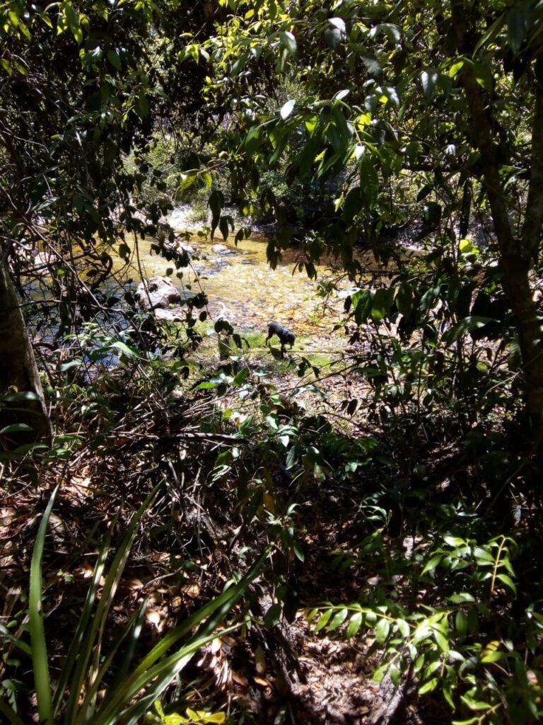 Casa nova em Adobe na Reserva Bacupari – Rio – Cavalcante/GO – Chapada dos Veadeiros