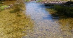 Casa nova em Adobe na Reserva Bacupari – Rio – Cavalcante/GO – Chapada dos Veadeiros Casa nova em Adobe na Reserva Bacupari – Rio – Cavalcante/GO – Chapada dos Veadeiros