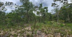Fazenda 76 ha – Cachoeira – 12km Teresina de Goiás – Chapada dos Veadeiros
