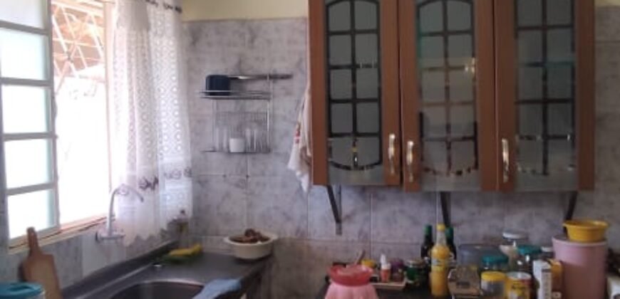 Casa – Quintal com Fruteiras – Monte Sinai – Alto Paraíso de Goiás