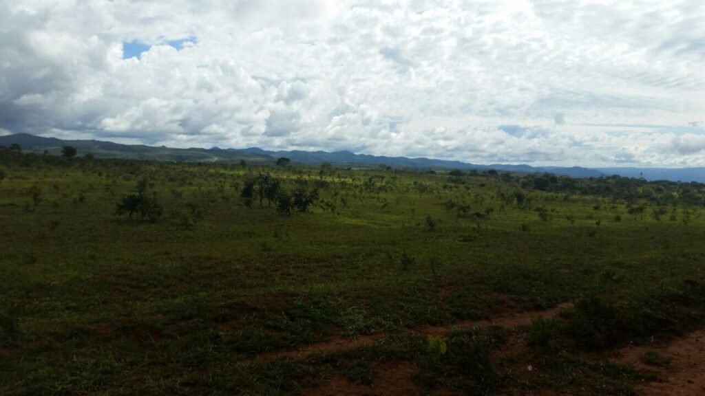 Chácara 4 ha – 5km de Alto Paraíso sentido Cachoeira dos Cristais