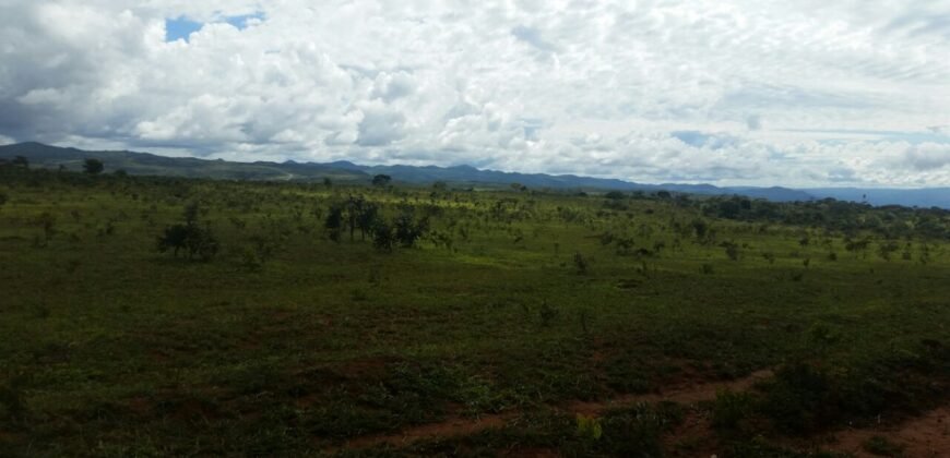 Chácara 4 ha – 5km de Alto Paraíso sentido Cachoeira dos Cristais