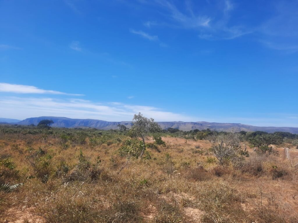 Vende-se Chácara 4ha – Acesso a Cachoeira Água Fria – Vista – 5km de Alto Paraíso de Goiás