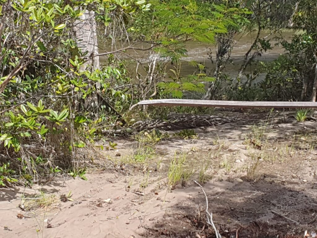 Chácara 4ha – Rio dos Couros – Lofth Ecológico Arco Iris- KM 12 – Alto Paraíso e São jorge