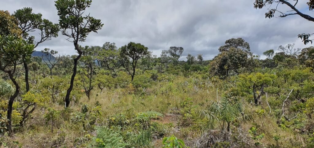 Vende-se Lote 2.700m2 – Alto Paraíso de Goiás
