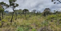 Vende-se Lote 2.700m2 – Alto Paraíso de Goiás Vende-se Lote 2.700m2 – Alto Paraíso de Goiás