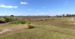 Pousada no Morro da Baleia – Alto Paraíso de Goiás – Chapada dos Veadeiros Pousada no Morro da Baleia – Alto Paraíso de Goiás – Chapada dos Veadeiros