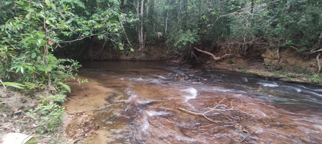 Maravilhosa Chácara 20ha – Recifra – Alto Paraíso de Goiás