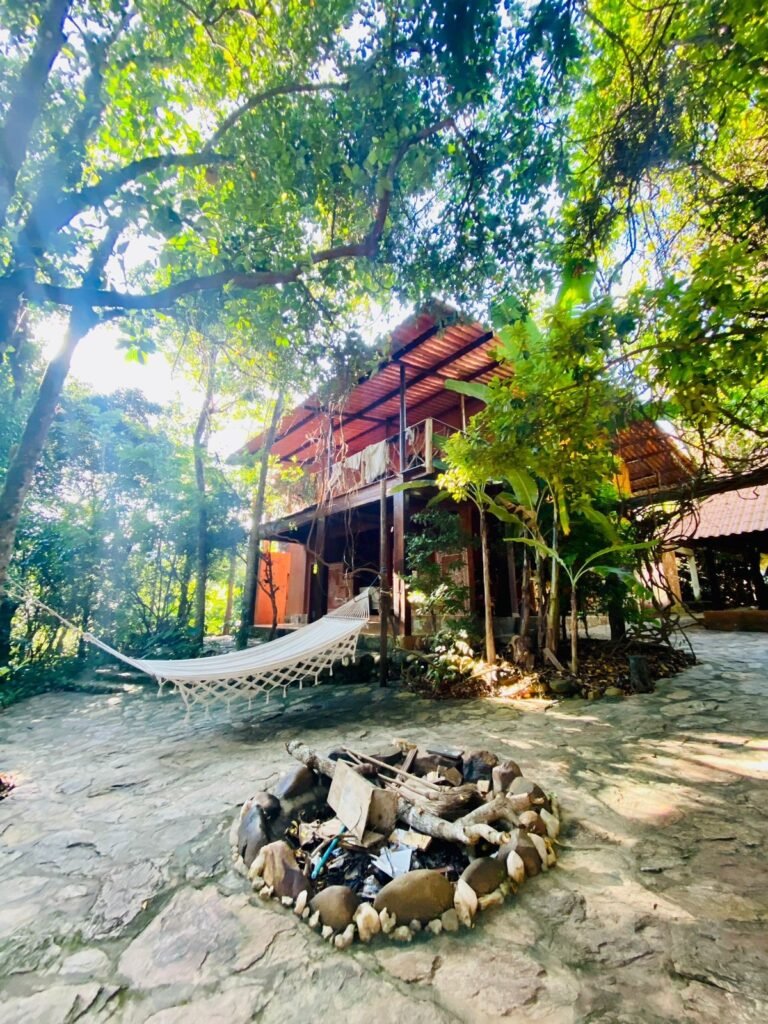 Pousada – Rio – Poço para Banho – Moinho – 4.000m2 – 12km de Alto Paraíso de Goiás