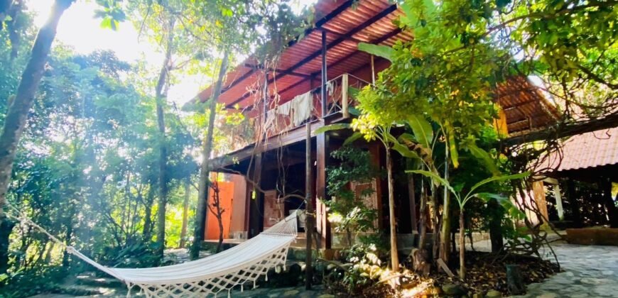 Pousada – Rio – Poço para Banho – Moinho – 4.000m2 – 12km de Alto Paraíso de Goiás