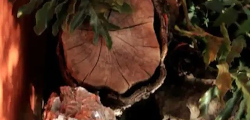 Pousada – Alto Padrão – Piscina Natural – Bairro Eldorado – Alto Paraíso de Goiás